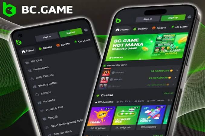 Guide to BC.Game Login Process A Step-by-Step Overview