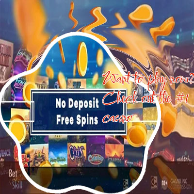 No Deposit Free Spins Your Guide to Maximizing Online Casino Fun
